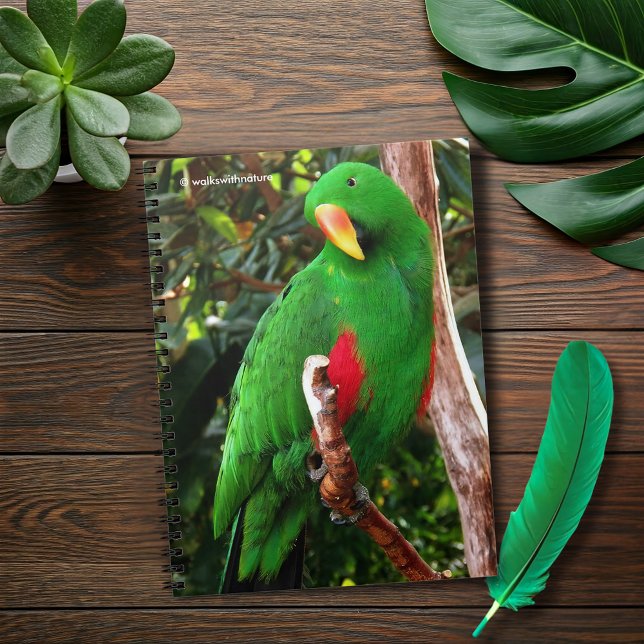 Carnet Le perroquet de l'écorce verte (The Green Orator Eclectus Parrot Journal Cover Photo)