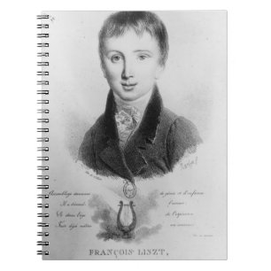 Carnet Le portrait de Franz Liszt (1811-86) a vieilli 11