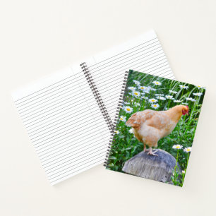 Carnet Le poulet aime les marguerites