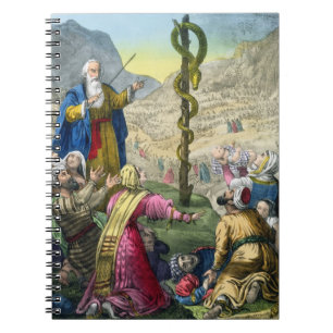 Carnet Le serpent d'airain, d'une bible imprimée par