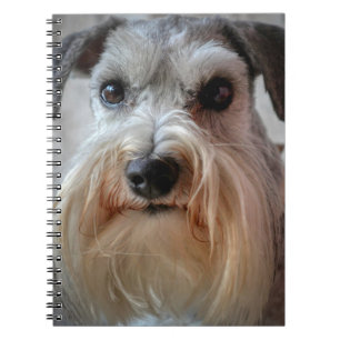 Carnet Le visage de Schnauzer Dog
