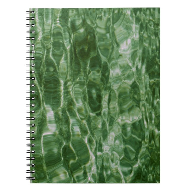 Carnet L'eau verte (Devant)