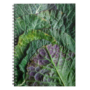 Carnet Légume vert