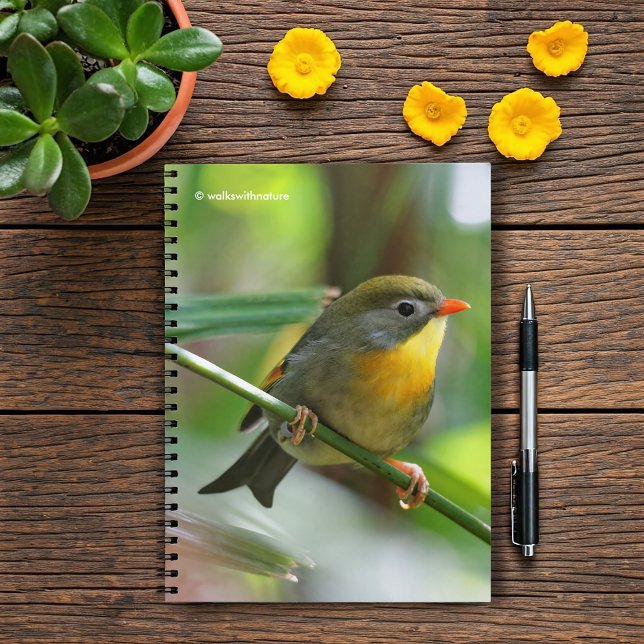 Carnet Leiothrix coloré / Pekin Robin Songbird (Colorful Leiothrix Pekin Robin on the Branch Journal Cover Photo)