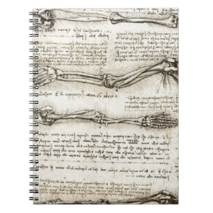 Carnet Leonardo da Vinci - études de l'illustration de