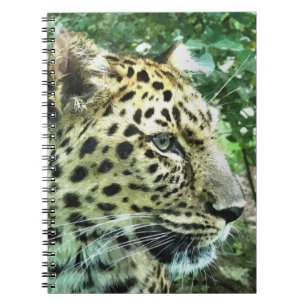 CARNET LEOPARD