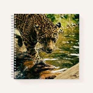 Carnet Leopard Crossing a Stream Photographie