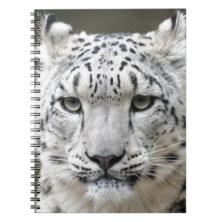 Carnet Léopard de neige