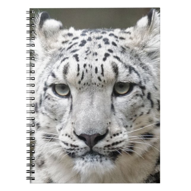 Carnet Léopard de neige (Devant)