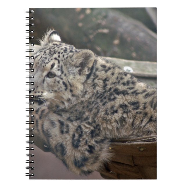 Carnet Léopard des neiges (Devant)
