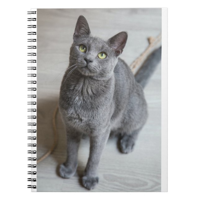 Carnet Les Chats Sont Les Meilleurs 57 (Devant)