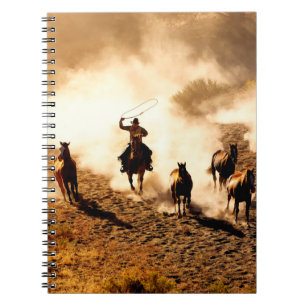 Carnet Les cow-boys à la recherche de chevaux sauvages. l