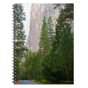 Carnet Les Etats-Unis, la Californie, parc national de