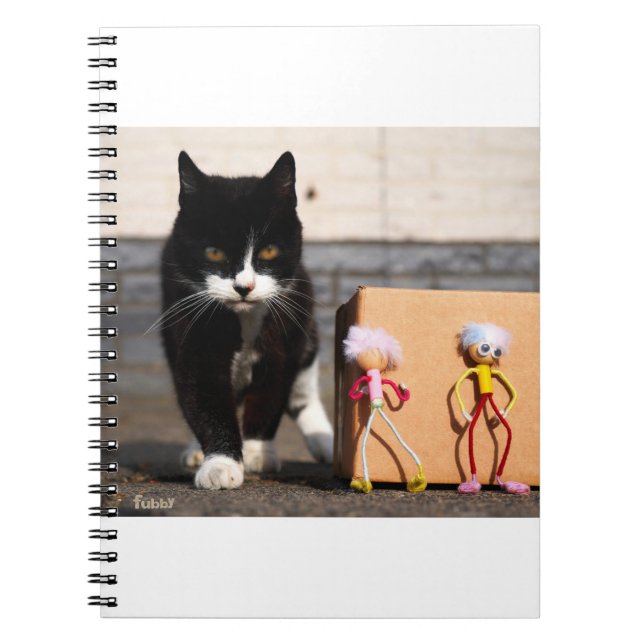 Carnet Les Fubby se cachent du chat Ping. (Devant)