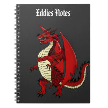 Les garçons ont personnalisé le dragon de carnet,