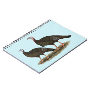 Carnet Les Jeunes Filles de Turkeys