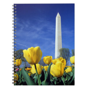 Carnet Les monuments   Washington Monument au printemps