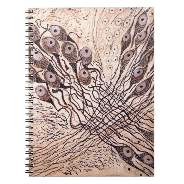 Carnet Les neurones 1 de Cajal (Devant)