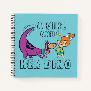 Carnet Les Pierrafeu   Galets & Dino Play Ball