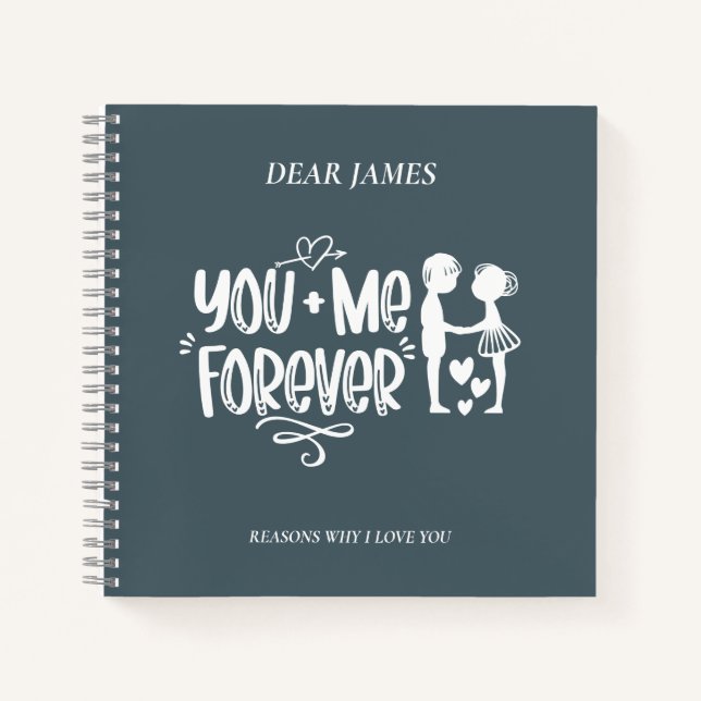 Carnet Les raisons grises de Payne Pourquoi je t'aime Car (Devant)