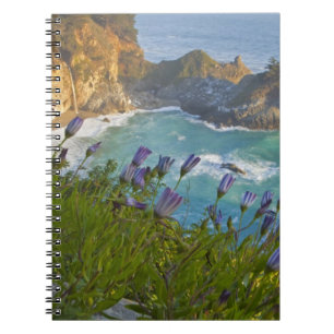 Carnet Les Scenic McWay Falls se jettent sur la plage et