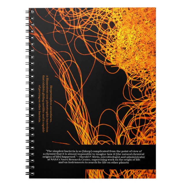 Carnet Les scientifiques disent ... Citation Klein et Bac (Devant)