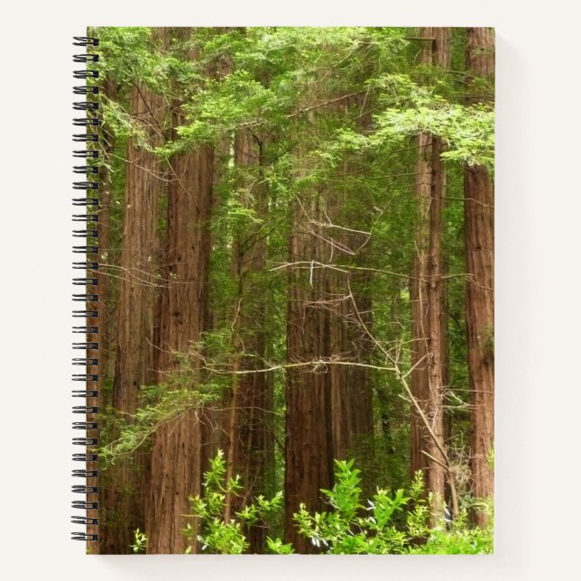 Carnet Les séquoias au monument national de Muir Woods (Devant)