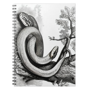 Carnet Les serpents