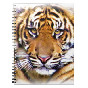 Carnet Les yeux qui voient_