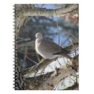 Carnet L'Eurasien a plongé sur l'arbre d'érable