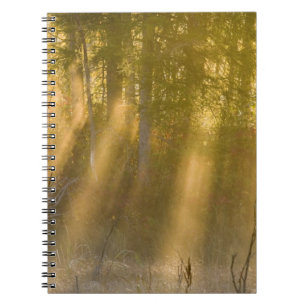 Carnet Lever du soleil brumeux à Tamarac NWR près de Detr