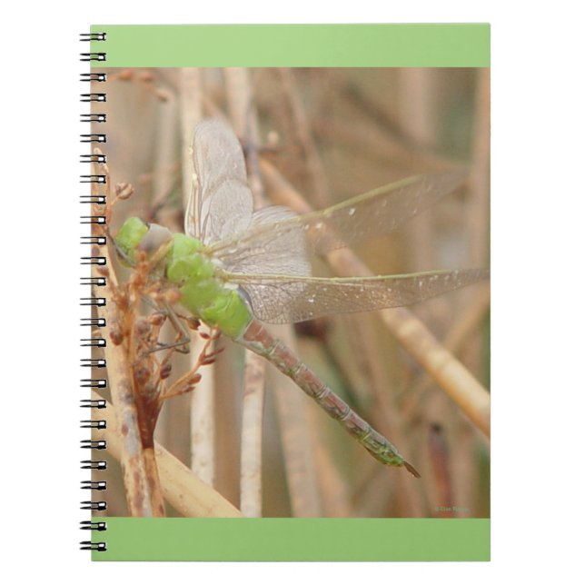 Carnet Libellule verte I1 (Devant)