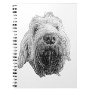 Carnet Lignes de patience