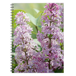 Carnet Lilac P5390