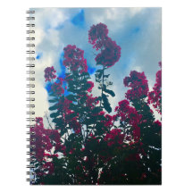 lilas de Chine un jour nuageux