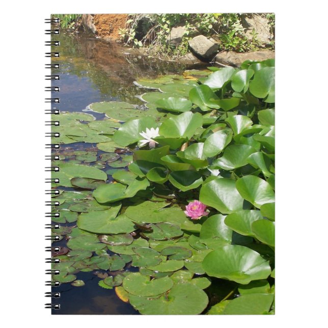 Carnet Lilly (Devant)