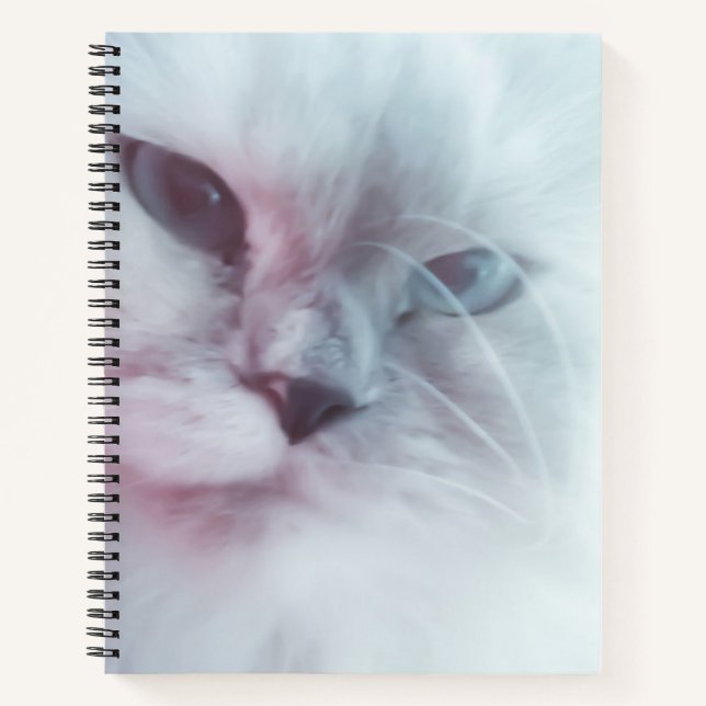 Carnet Lilly (Devant)