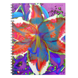 Carnet Lily rétro