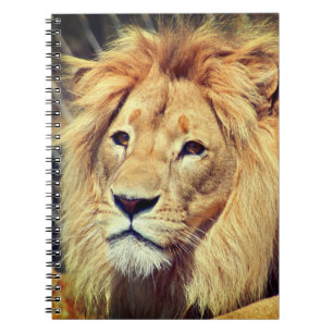 Carnet Lion