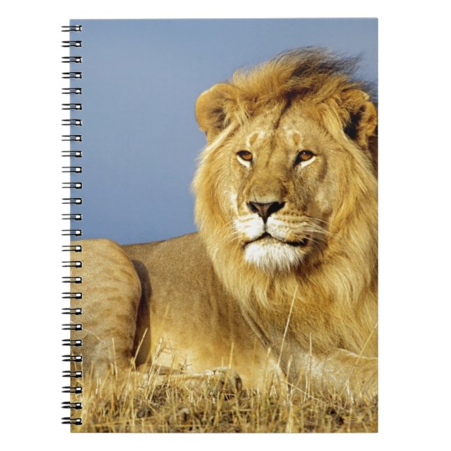 Carnet Lion (Devant)