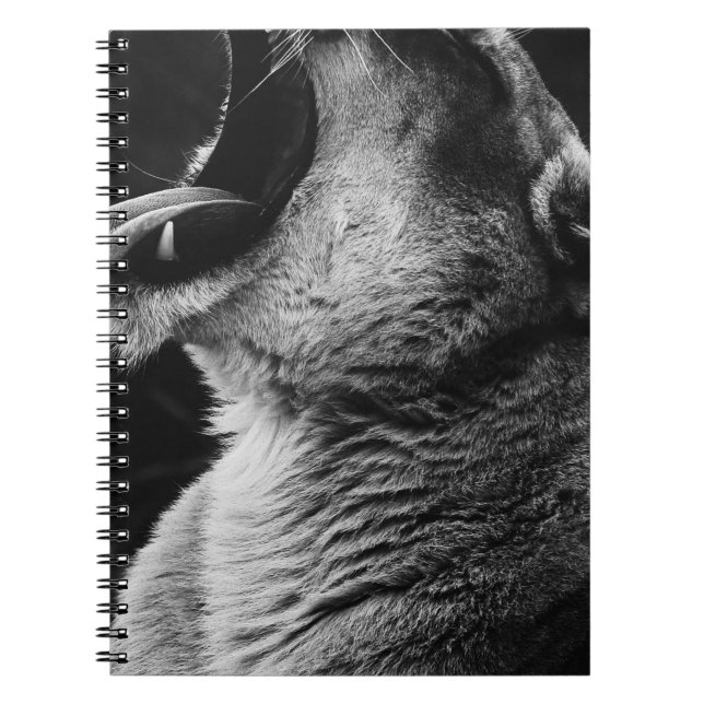Carnet lion (Devant)