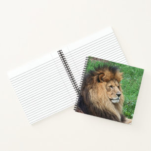 Carnet Lion 001