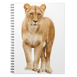 Carnet Lion Big Cat Predator Fièrement