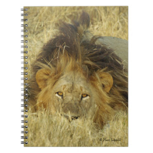 Carnet Lion Homme