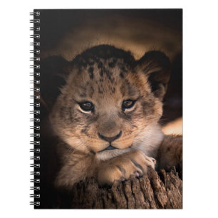 Carnet Lionceau