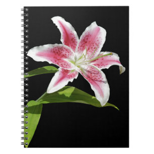 Carnet Lis d'astronome