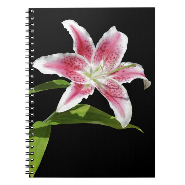 Carnet Lis d'astronome (Devant)