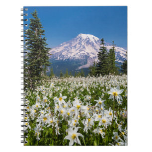 Carnet Lis de l'avalanche et Mont Rainier 2