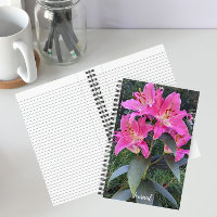 Lis floraux de lys orientaux roses