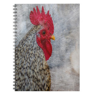 Carnet Liste de pays gris